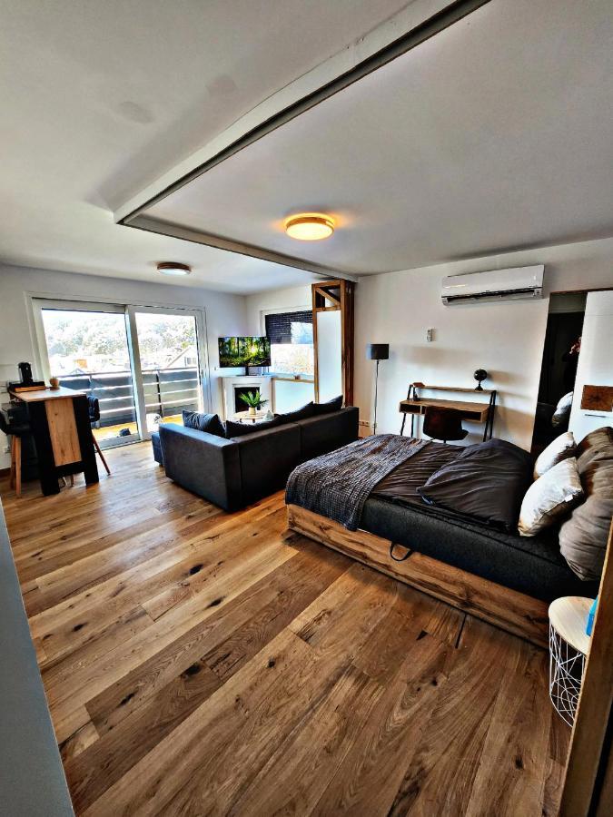 Lions Place Premium Apartments Executive Luxus Penthouse Inklusive Spa Хайденхайм ан дер Бренц Екстериор снимка