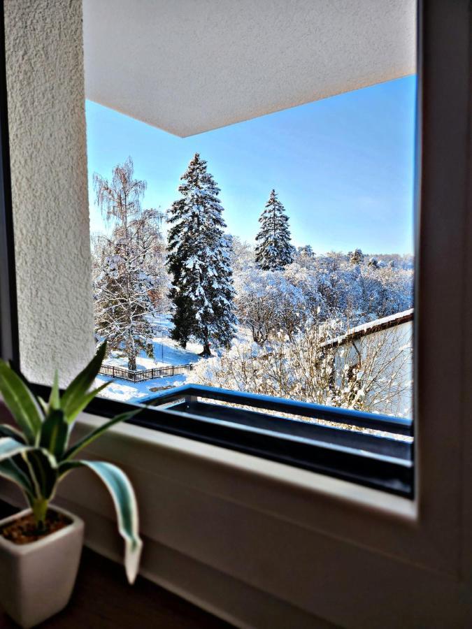Lions Place Premium Apartments Executive Luxus Penthouse Inklusive Spa Хайденхайм ан дер Бренц Екстериор снимка