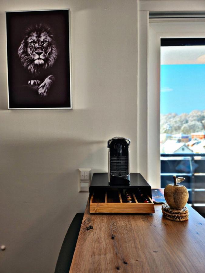 Lions Place Premium Apartments Executive Luxus Penthouse Inklusive Spa Хайденхайм ан дер Бренц Екстериор снимка