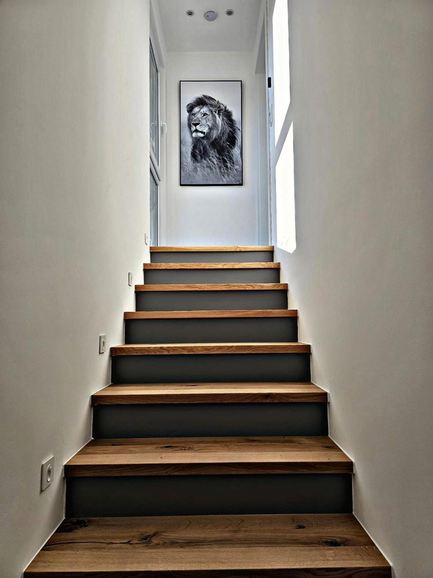 Lions Place Premium Apartments Executive Luxus Penthouse Inklusive Spa Хайденхайм ан дер Бренц Екстериор снимка