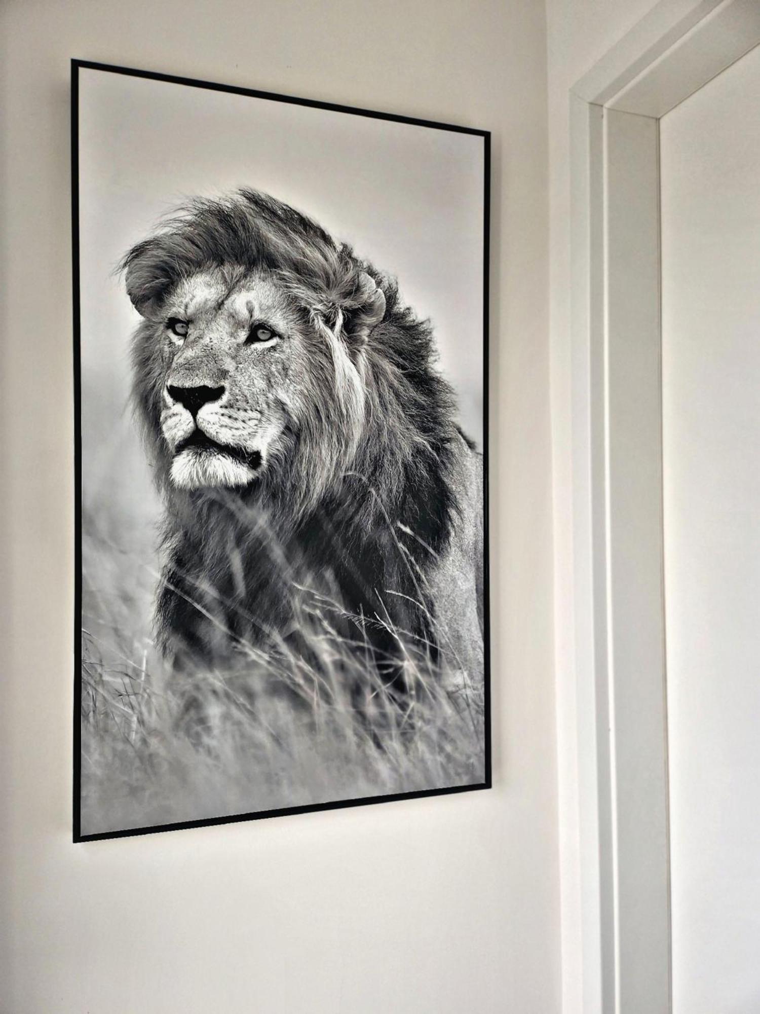 Lions Place Premium Apartments Executive Luxus Penthouse Inklusive Spa Хайденхайм ан дер Бренц Екстериор снимка