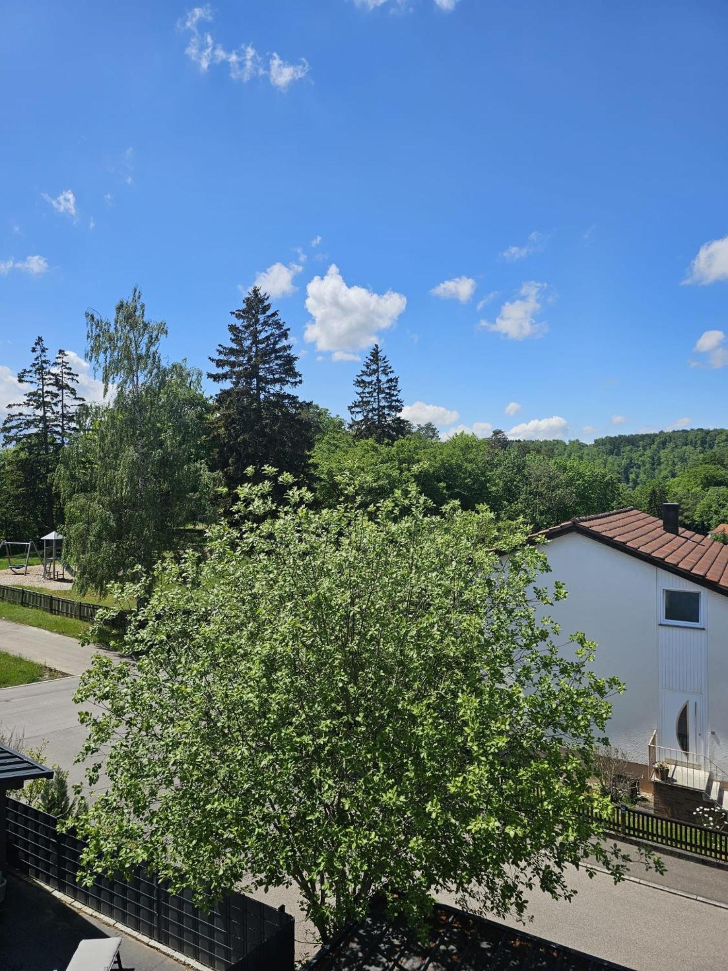 Lions Place Premium Apartments Executive Luxus Penthouse Inklusive Spa Хайденхайм ан дер Бренц Екстериор снимка